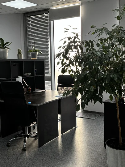 Фото главное