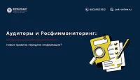 Новая редакция правил передачи информации в Росфинмониторинг для аудиторов