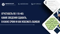 Отчетность по 115-ФЗ: какие сведения сдавать, в какие сроки и как избежать ошибок