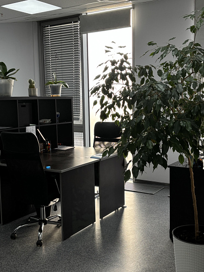 Фото главное